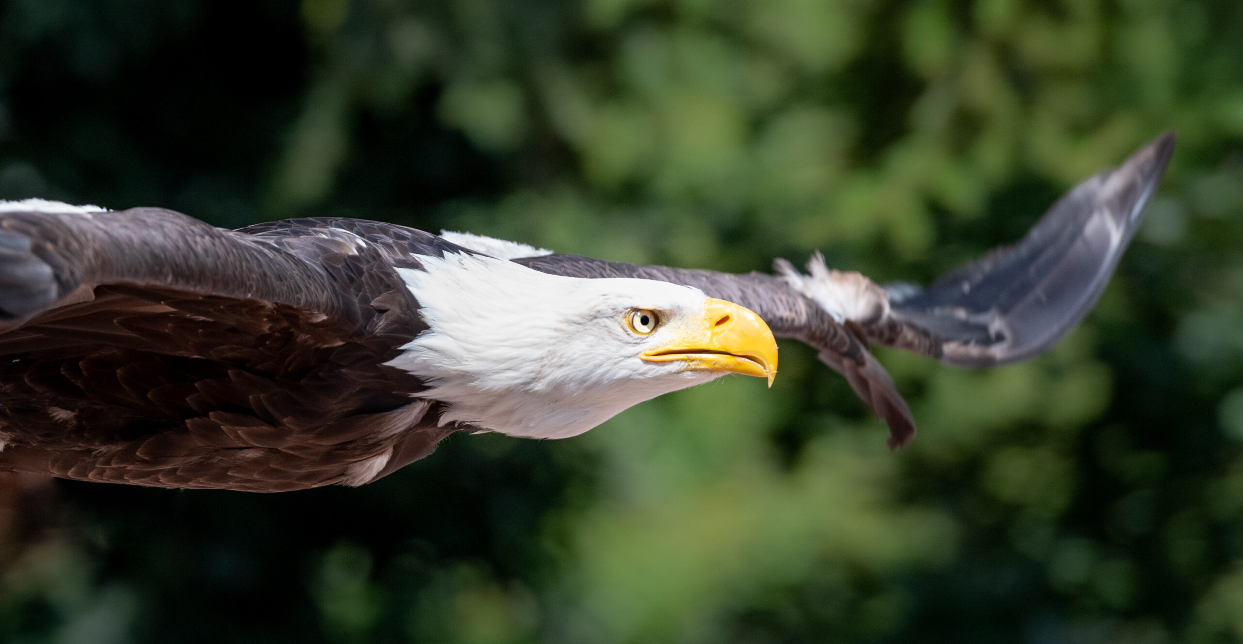 850_3946-scaled