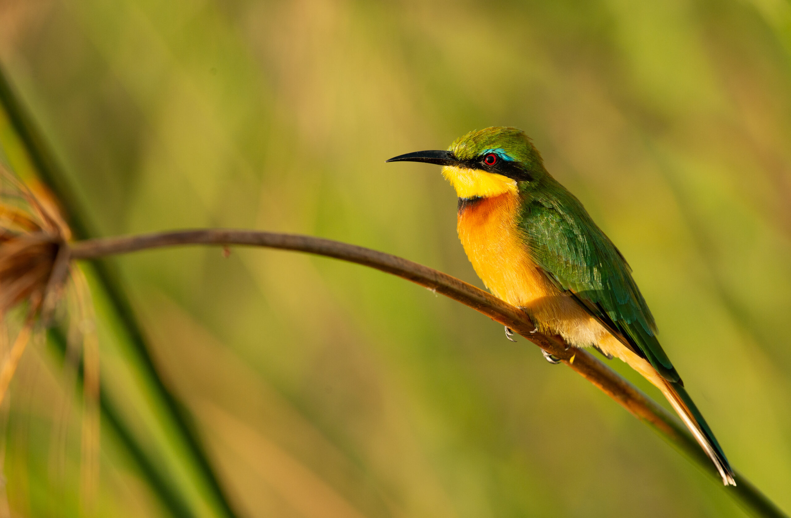 DSC_4361-scaled