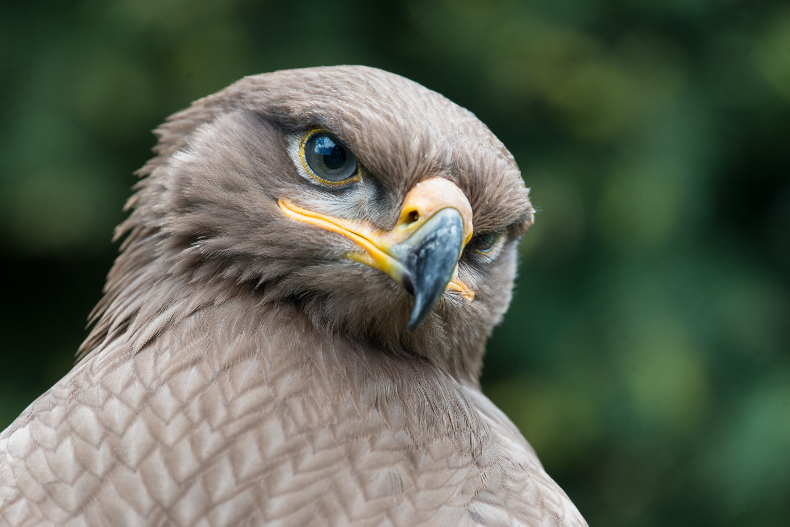 DSC_5498-scaled