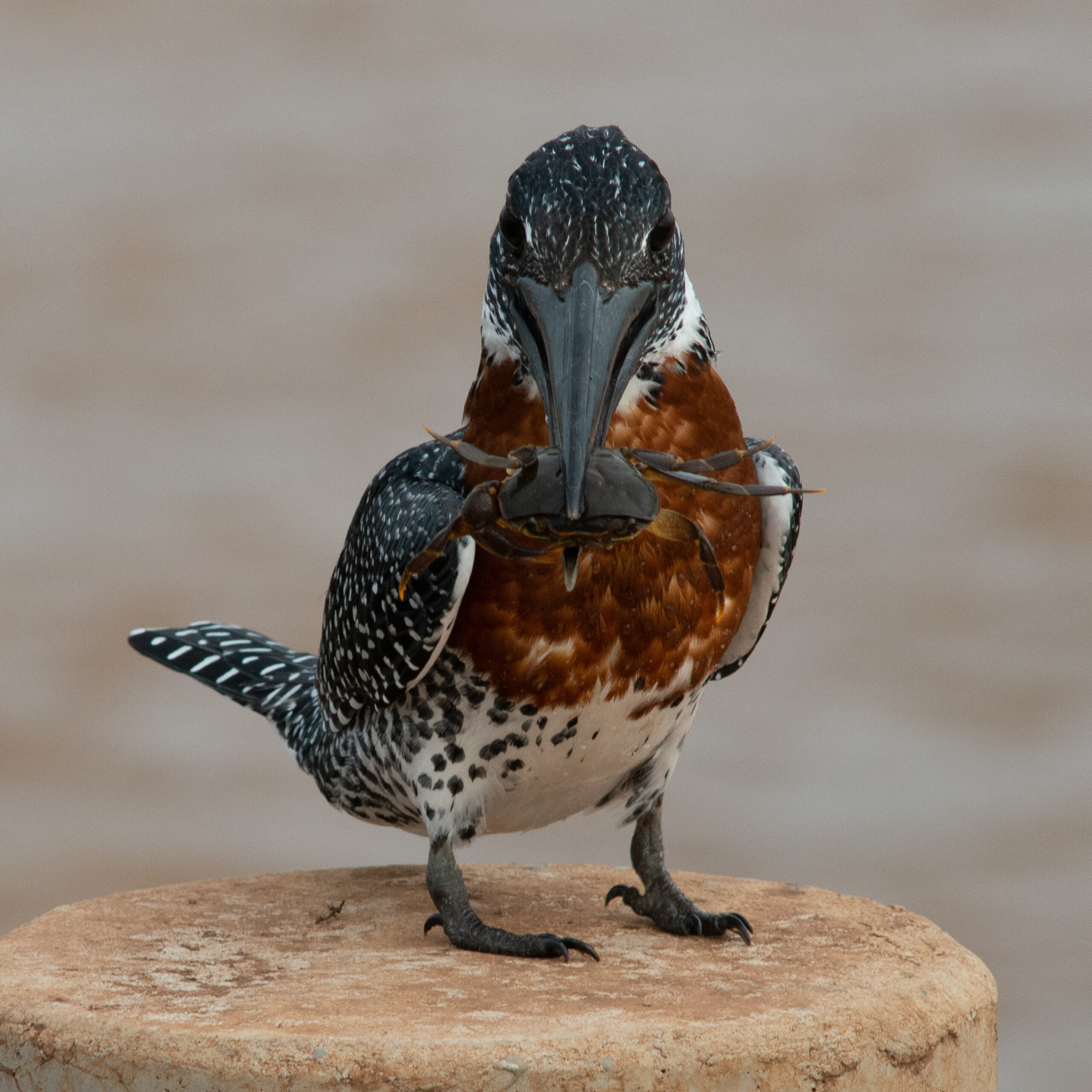 DSC_7722-scaled