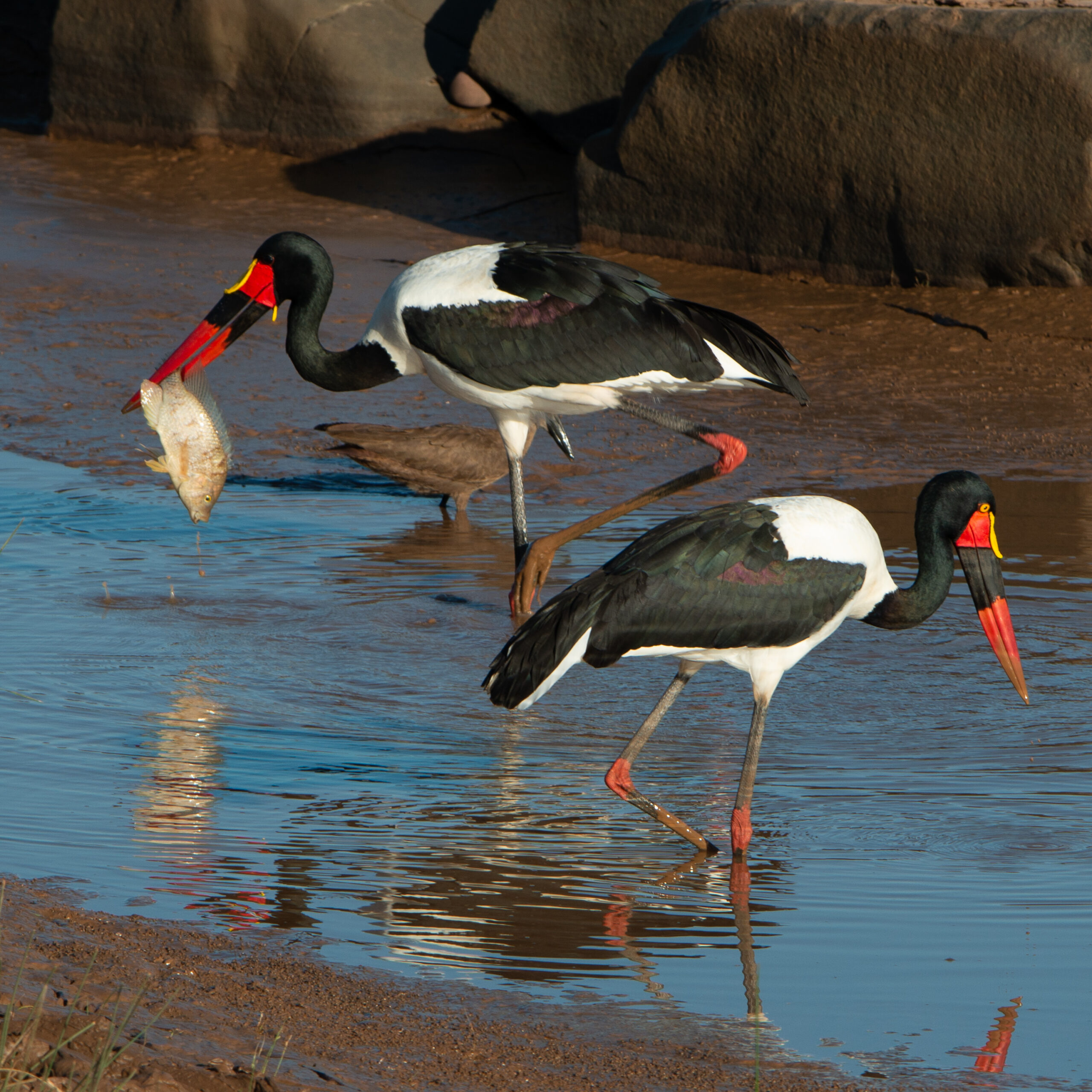 DSC_8370-scaled