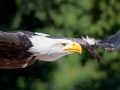 850_3946-scaled