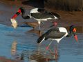 DSC_8370-scaled