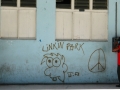 Kuba 459