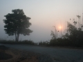 ASA_6003