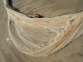 ASA_8081