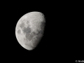 DSC_1212