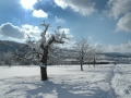 jahrhundertschnee lausen