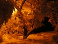 schnee