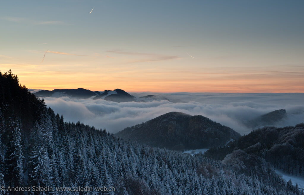 20110202-DSC_2982