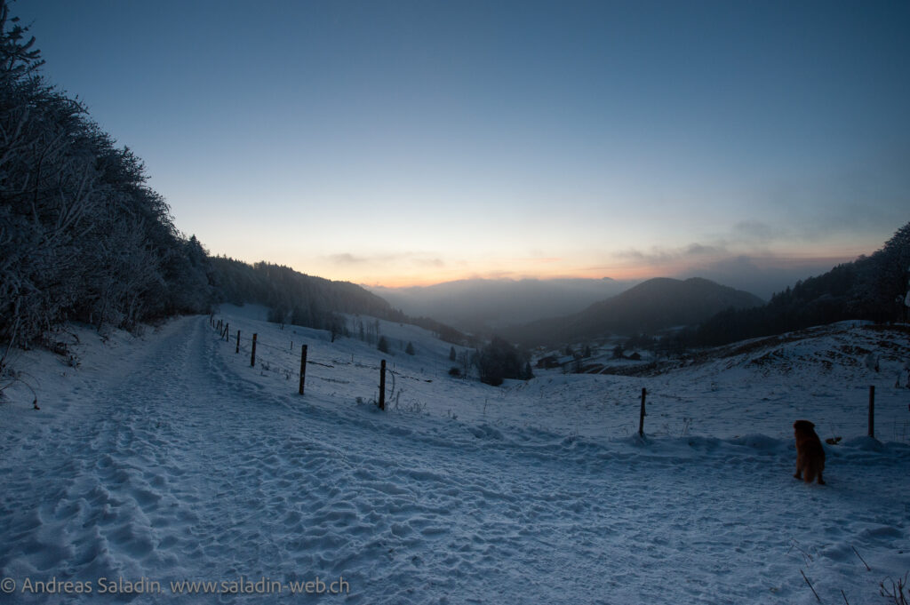 20110202-DSC_3003