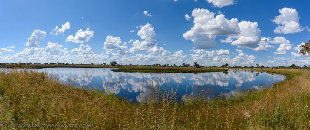 20170418-DSC_6379-Pano