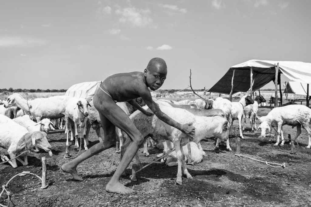 Ziegenhirte im Südsudan