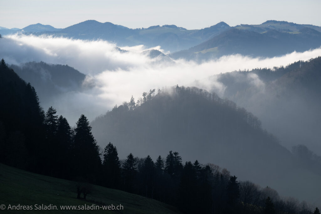 20251209-DSC_8038